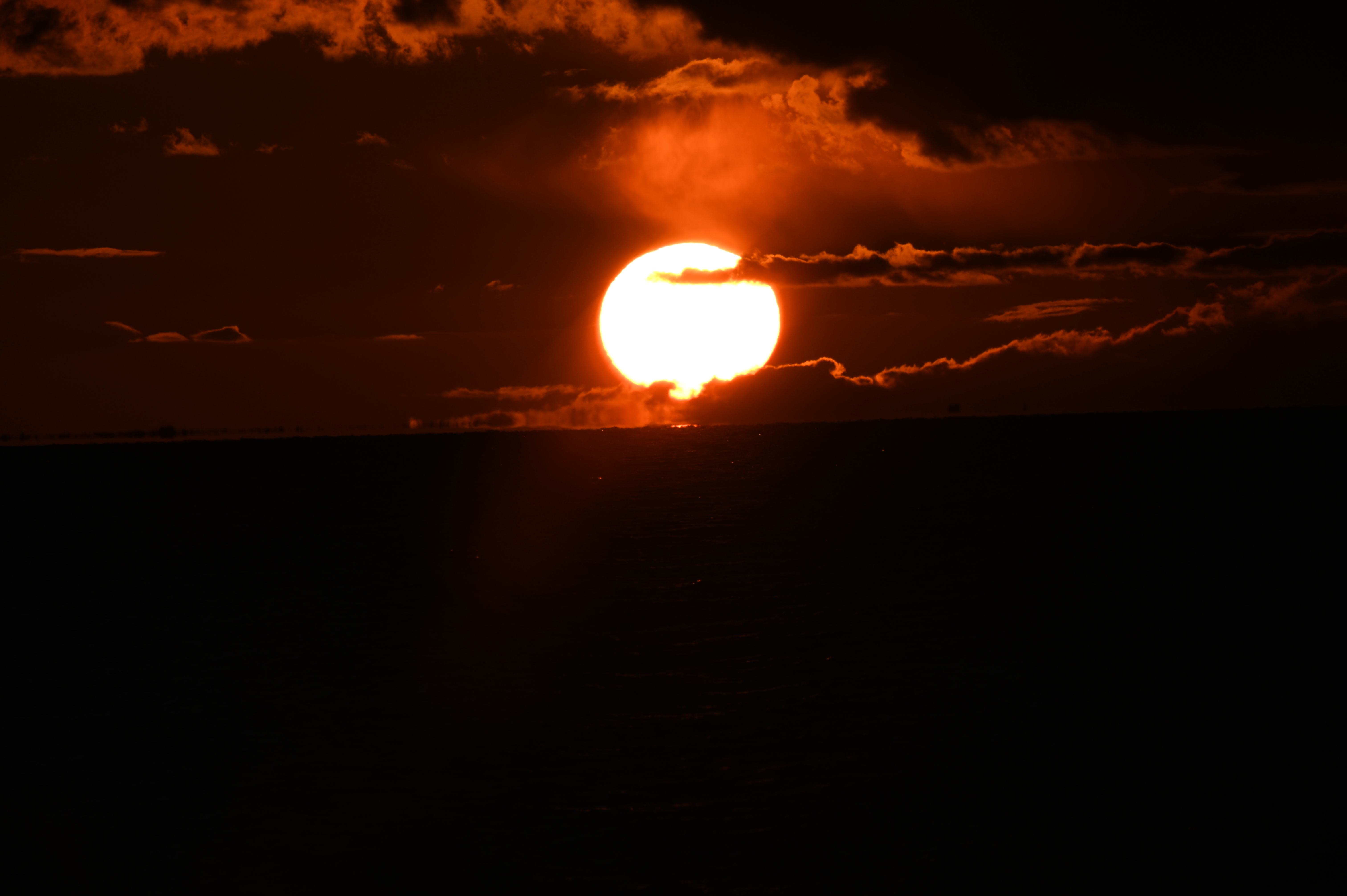 2025/10/18 - walk/DSC_0455.JPG